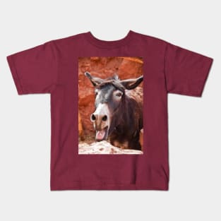 Morocco. Village. Donkey. Kids T-Shirt